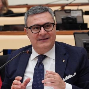 vincenzo falabella